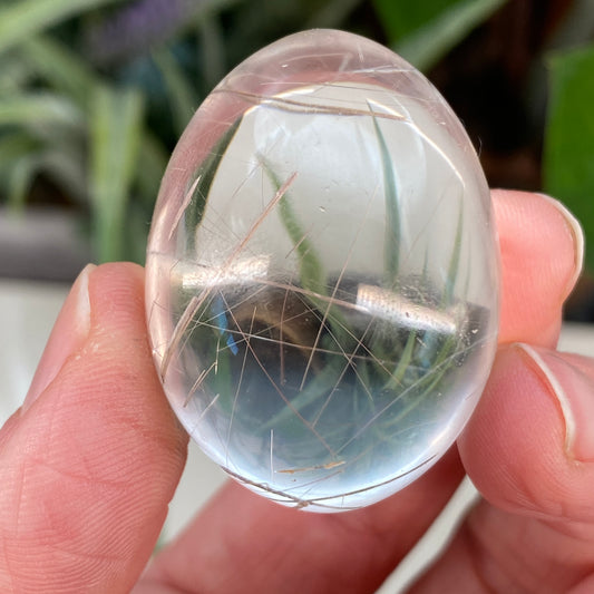 Rutilated Quartz Egg