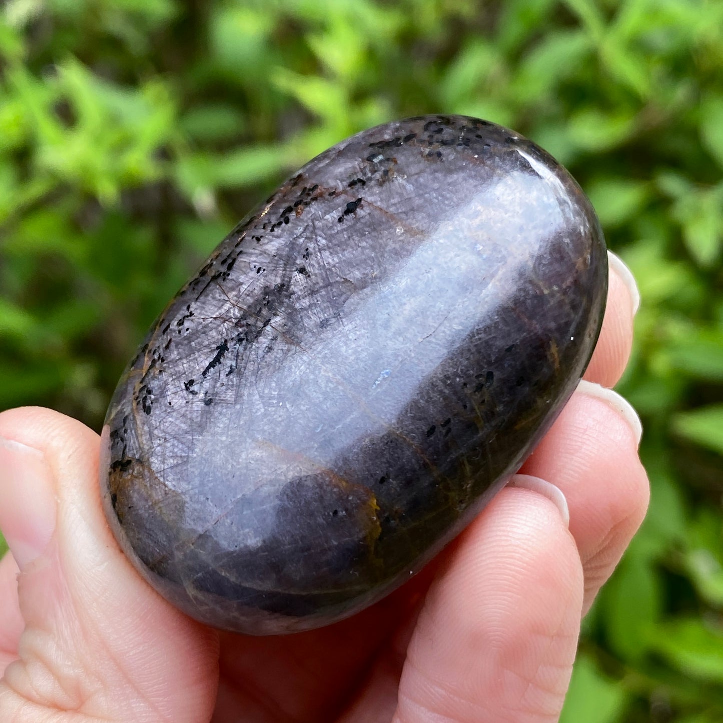 Sapphire Palm Stone
