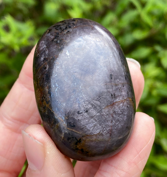 Sapphire Palm Stone