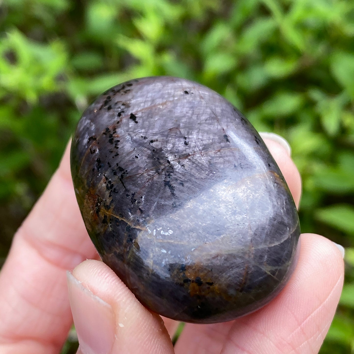 Sapphire Palm Stone