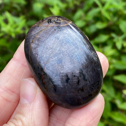 Sapphire Palm Stone