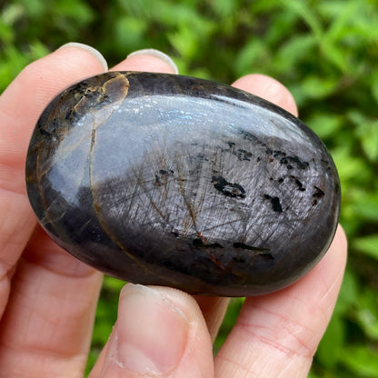 Sapphire Palm Stone