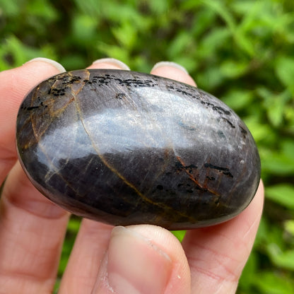 Sapphire Palm Stone