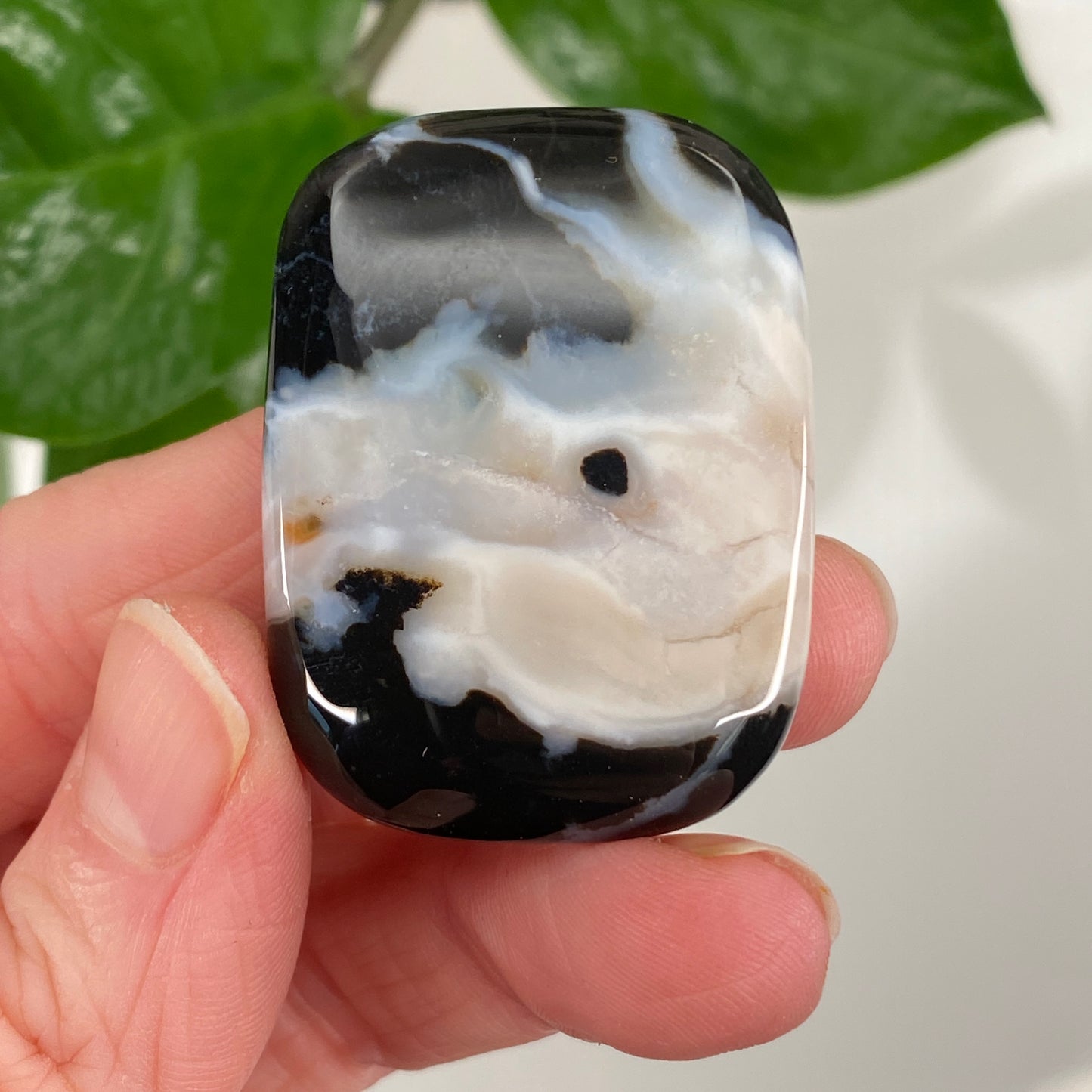 Sardonyx Stone