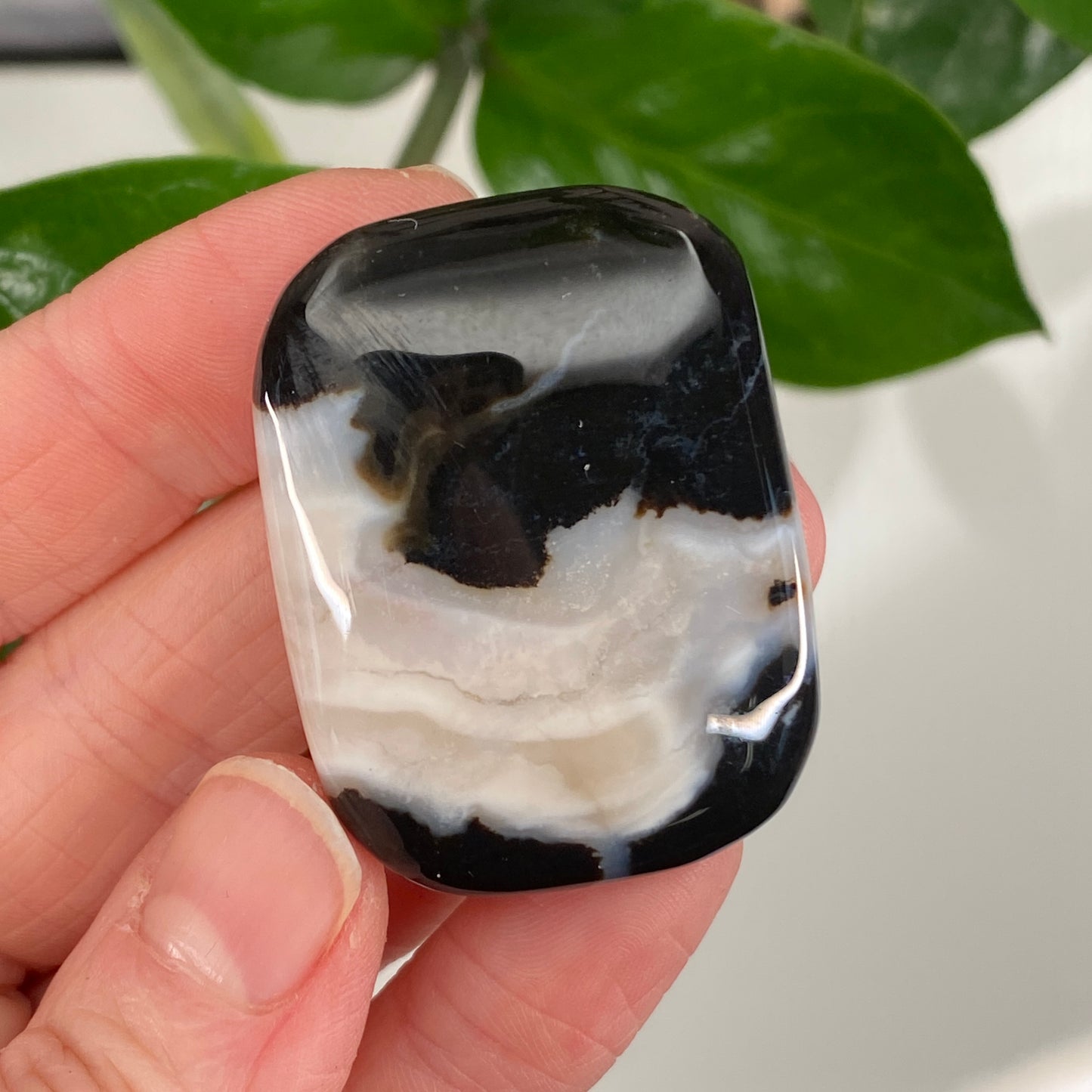Sardonyx Stone