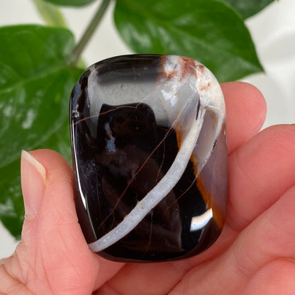 Sardonyx Stone