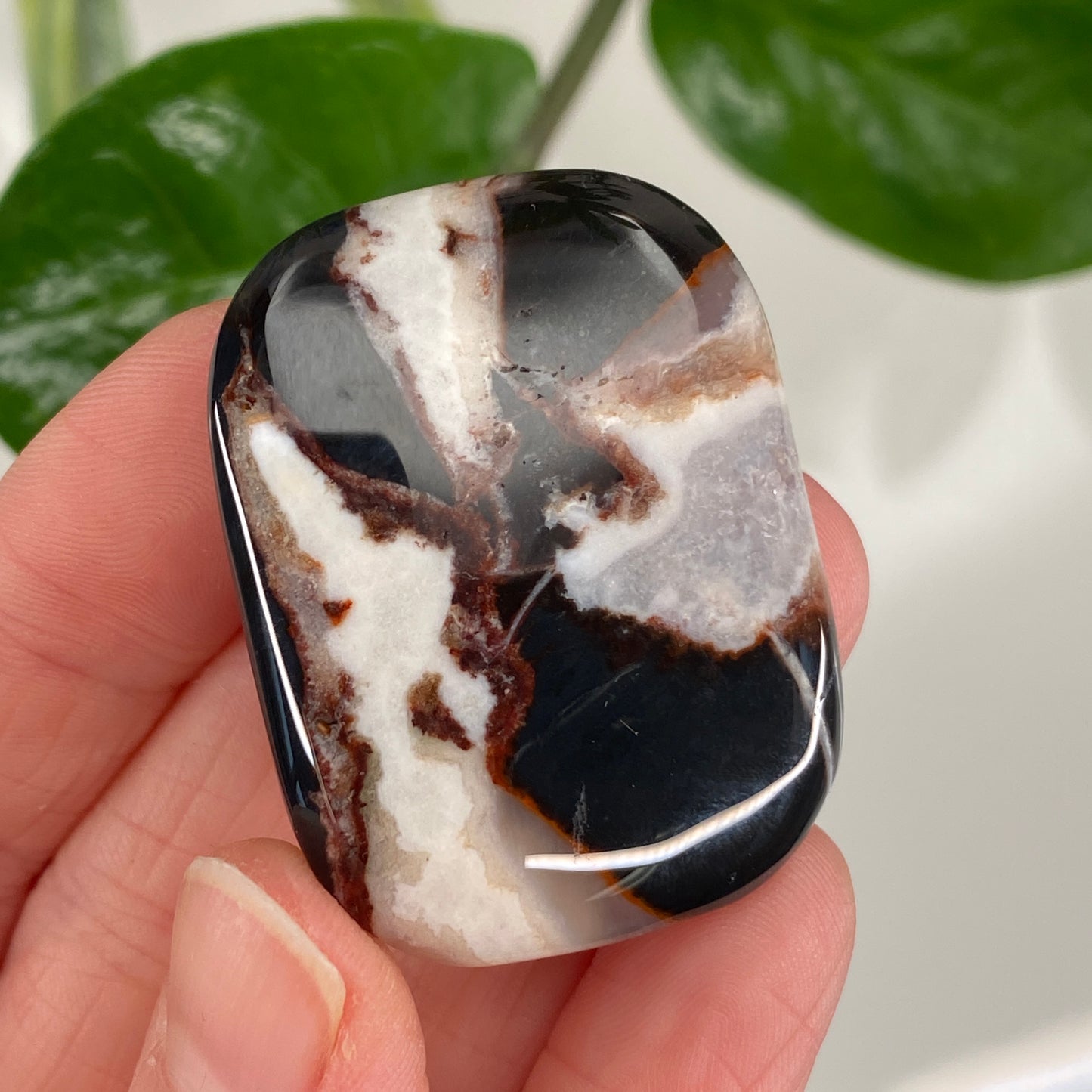 Sardonyx Stone