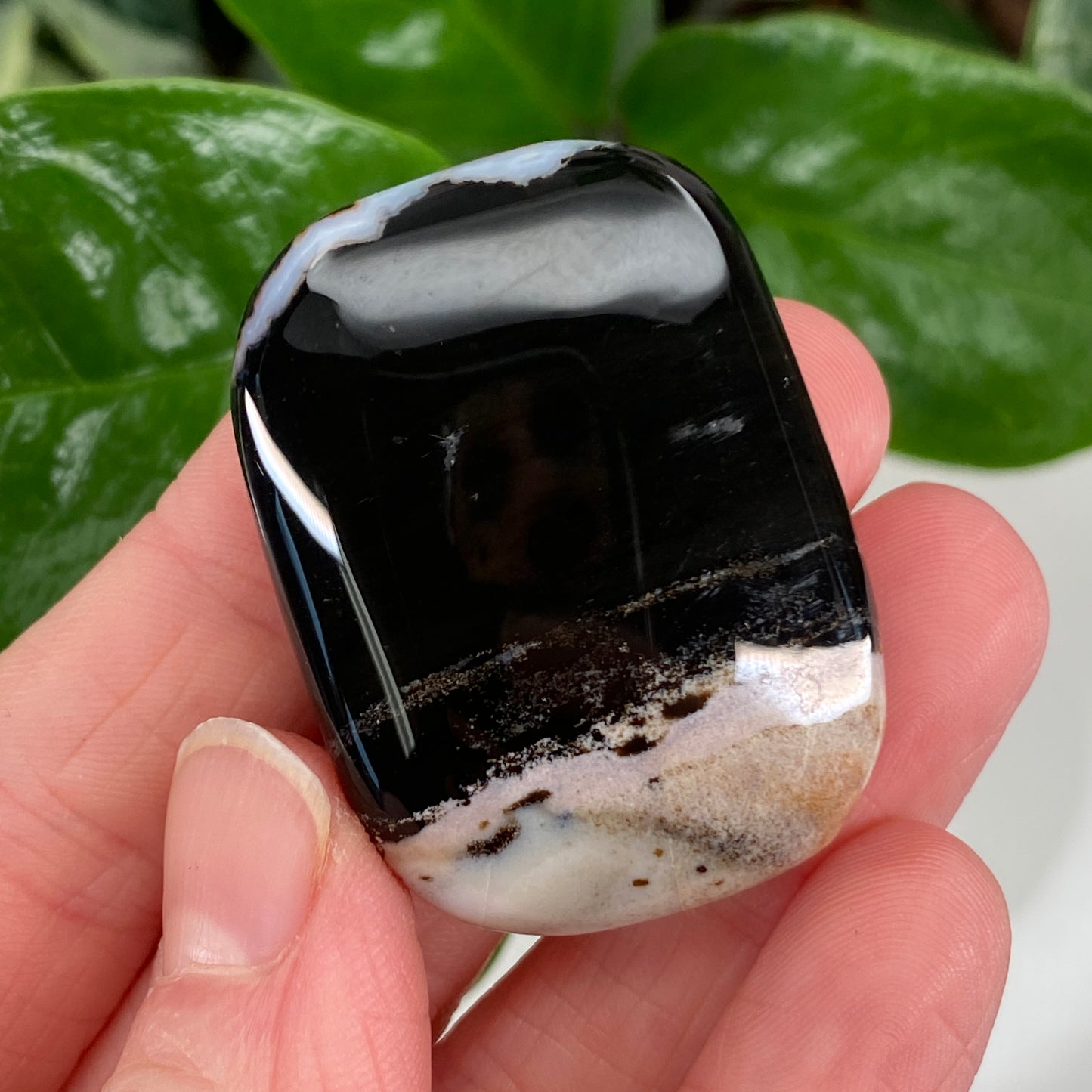 Sardonyx Stone