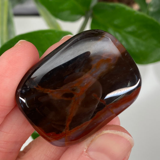 Sardonyx Stone