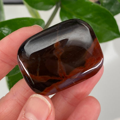 Sardonyx Stone