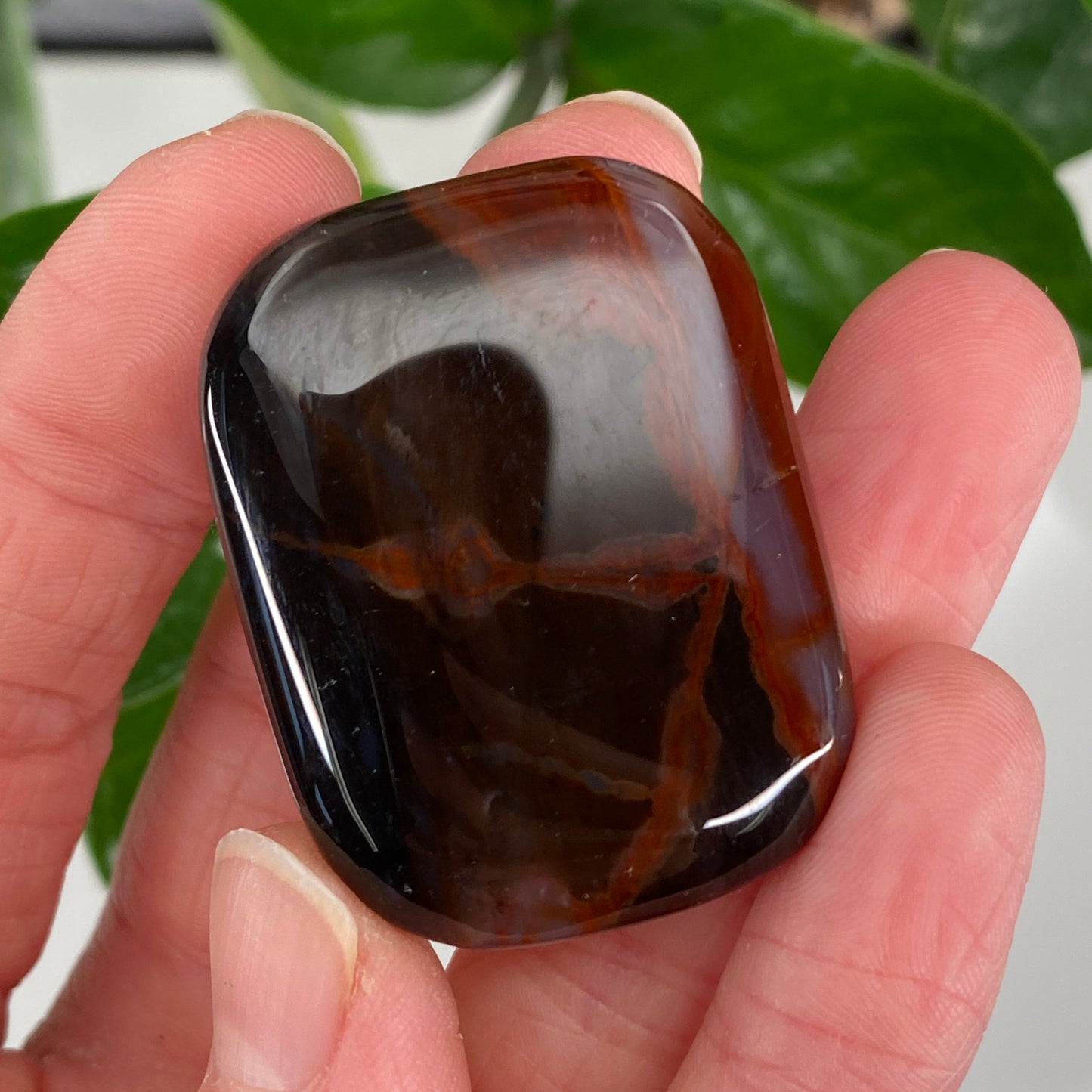 Sardonyx Stone