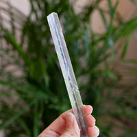 Stibnite Included Selenite Crystal