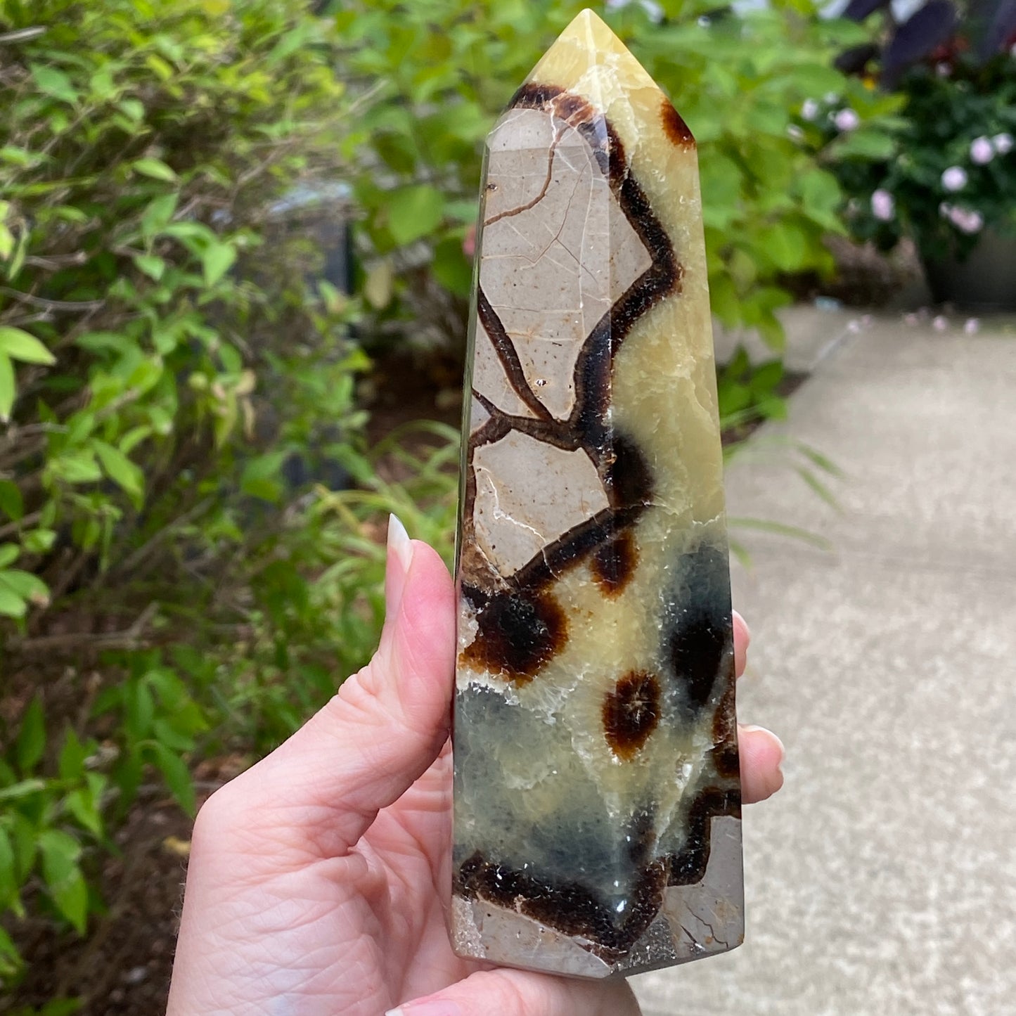 Septarian Tower