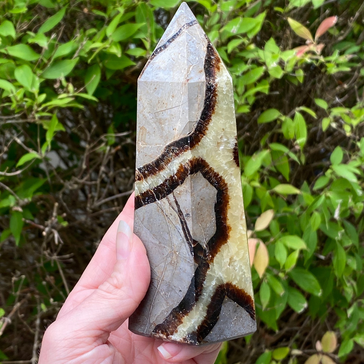 Septarian Tower