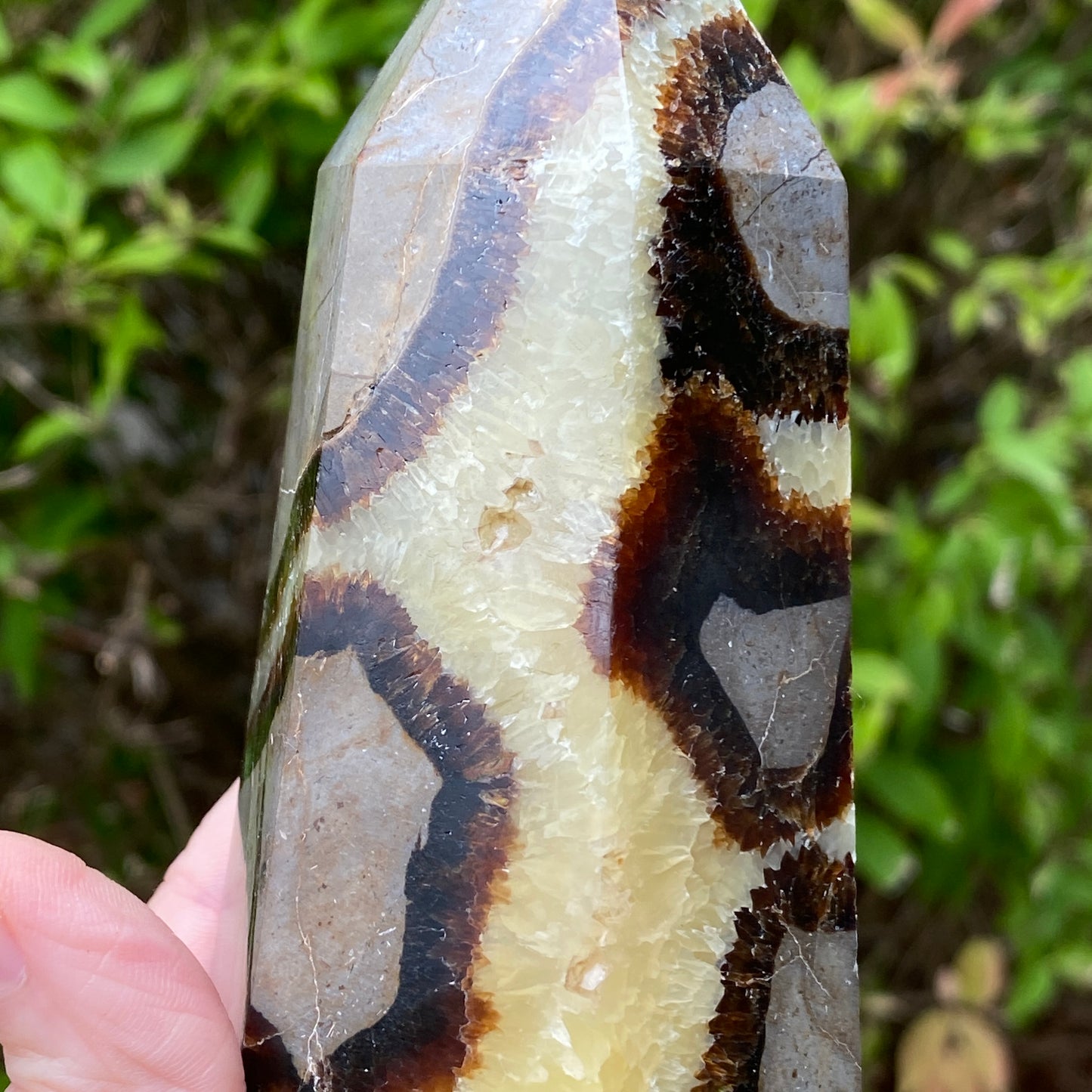 Septarian Tower
