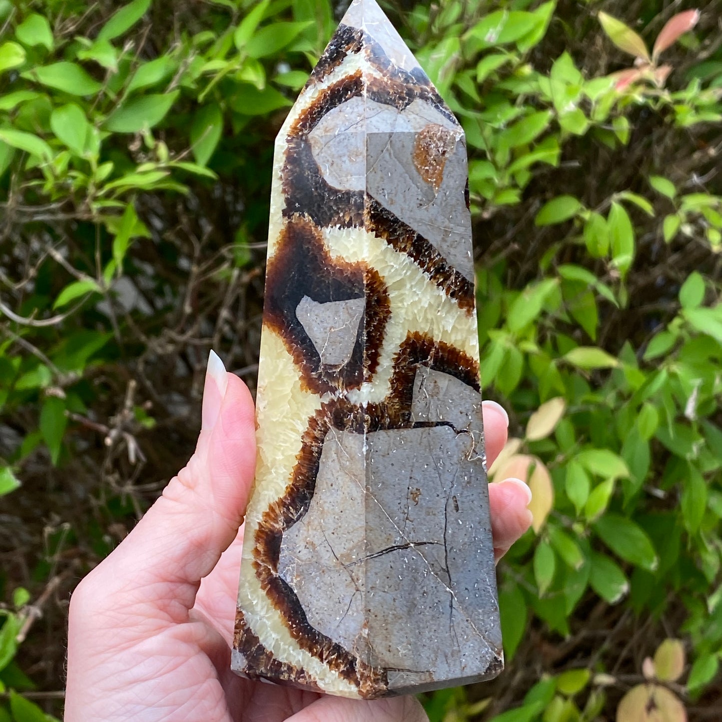Septarian Tower
