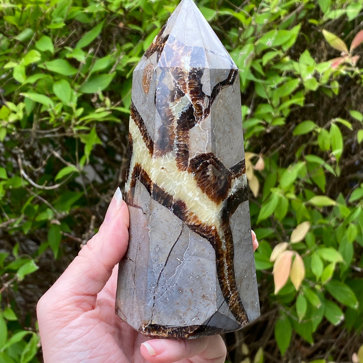 Septarian Tower