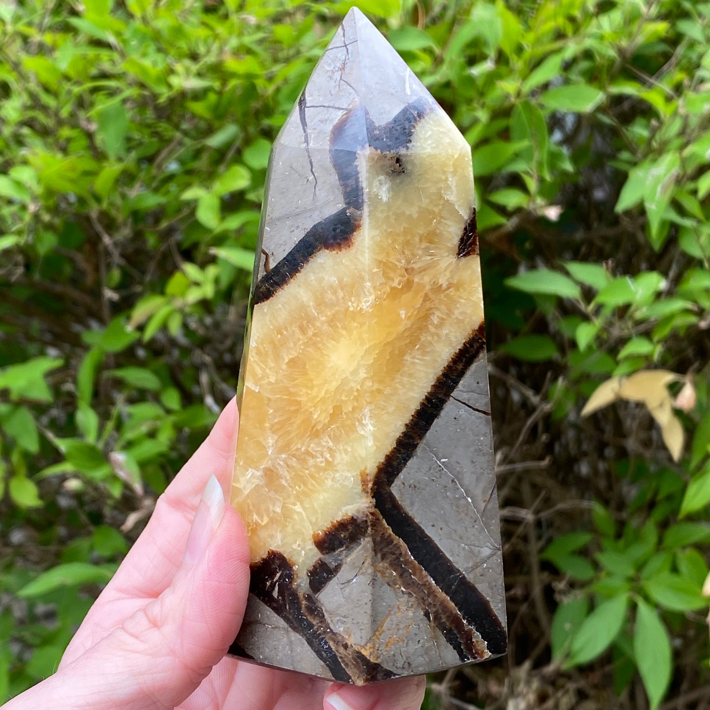 Septarian Tower
