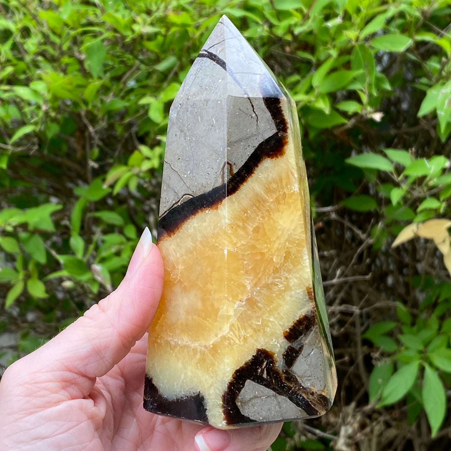Septarian Tower