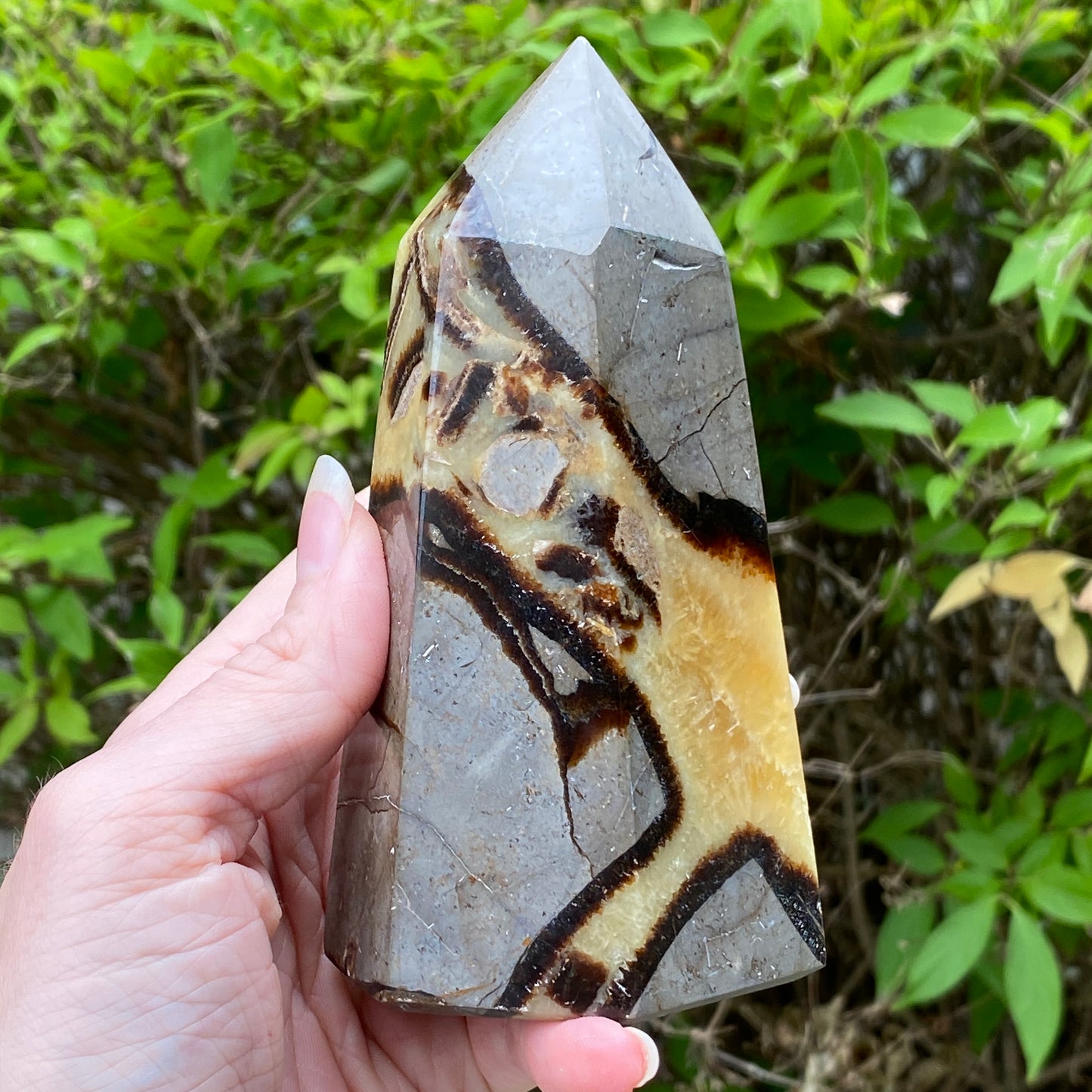 Septarian Tower