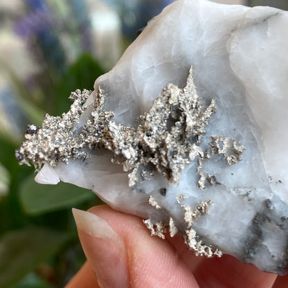 Native Silver on Calcite, Zgounder Morocco
