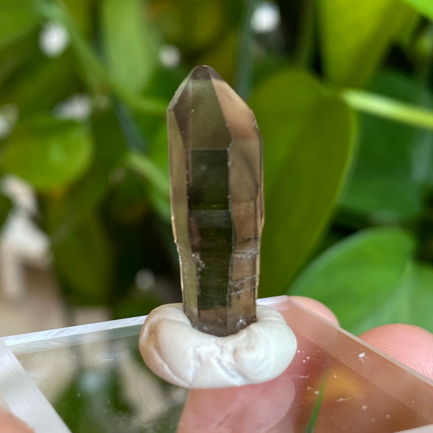 Smoky Quartz, Tibet