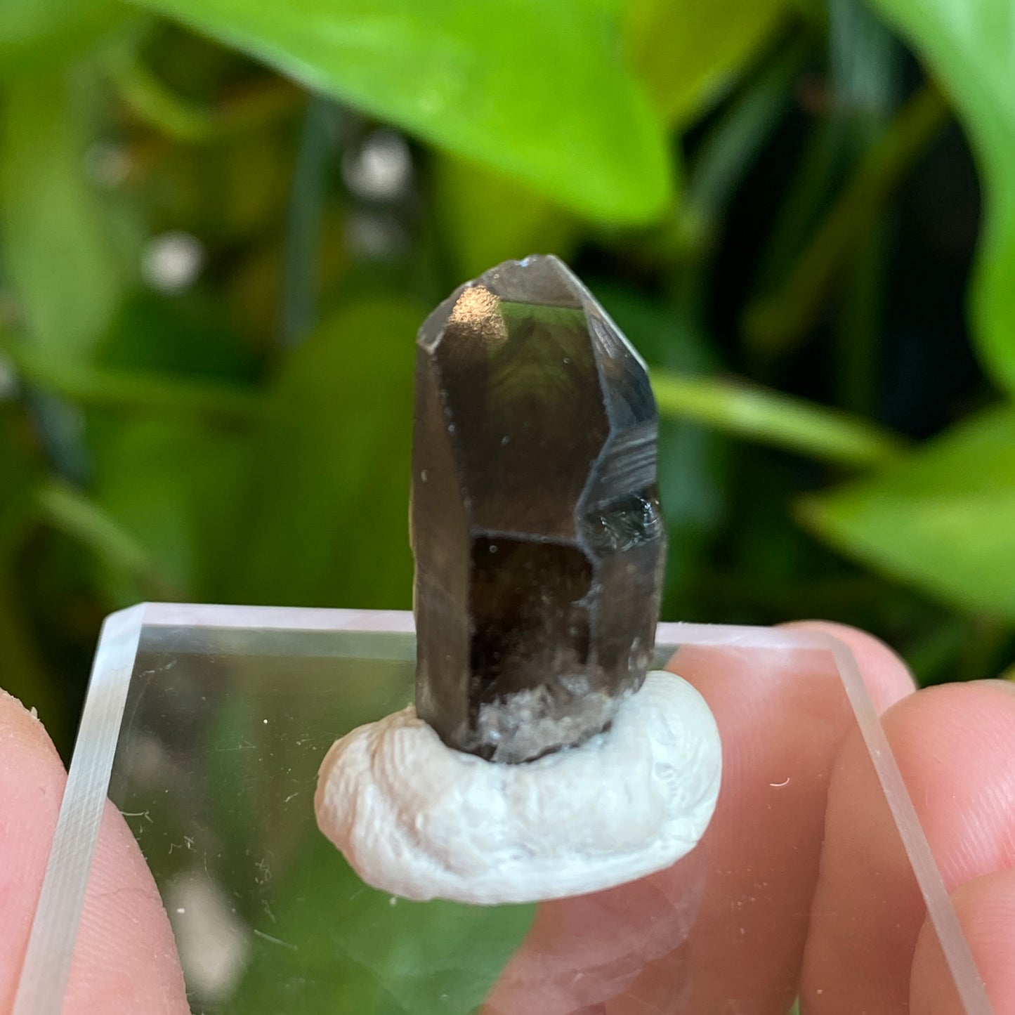 Smoky Quartz, Tibet