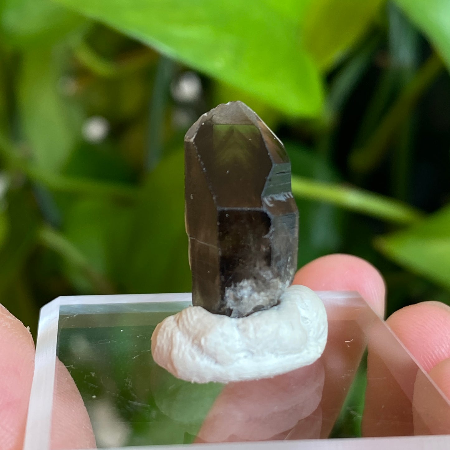 Smoky Quartz, Tibet