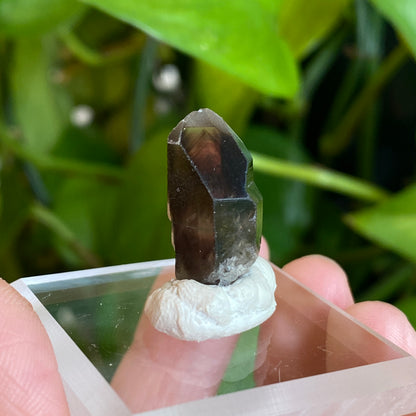 Smoky Quartz, Tibet