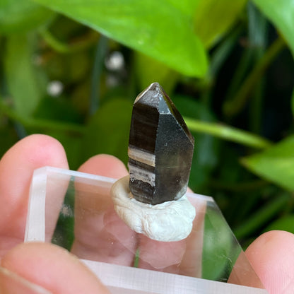 Smoky Quartz, Tibet