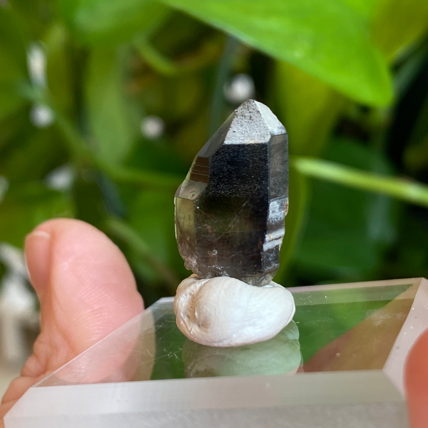 Smoky Quartz, Tibet