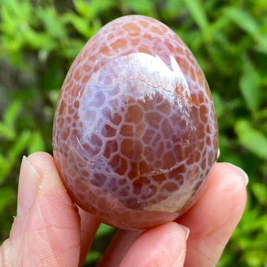 Snakeskin Agate Egg