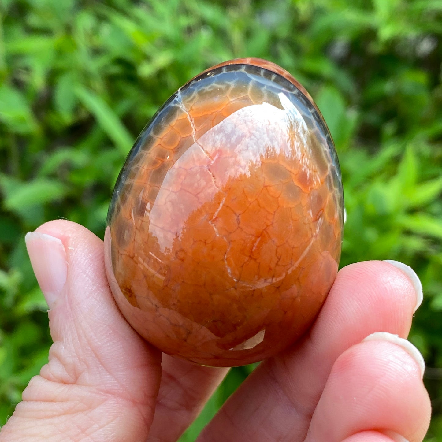 Snakeskin Agate Egg