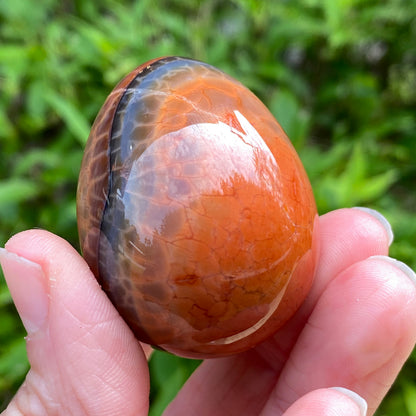 Snakeskin Agate Egg