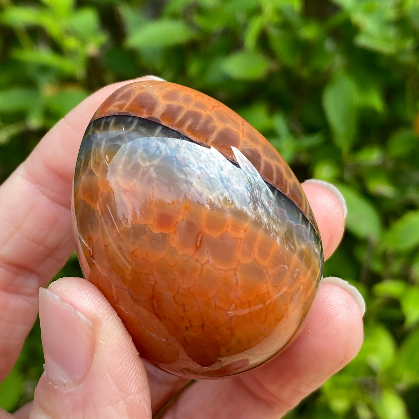 Snakeskin Agate Egg