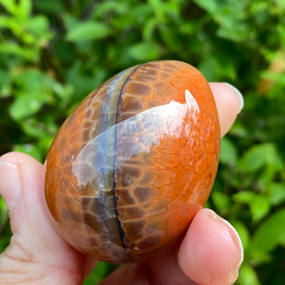 Snakeskin Agate Egg