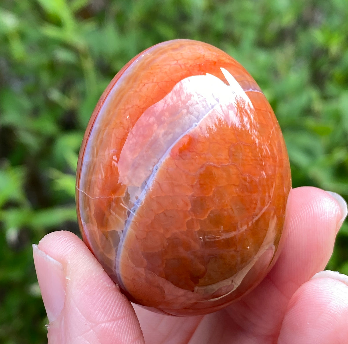 Snakeskin Agate Egg