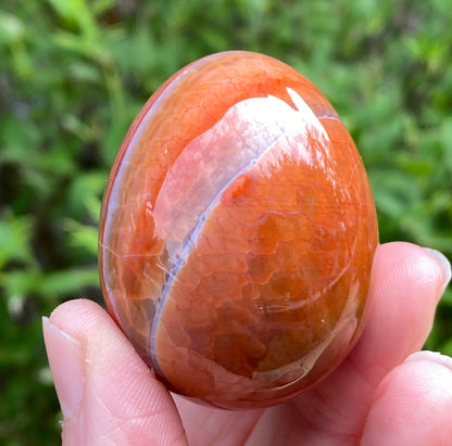 Snakeskin Agate Egg