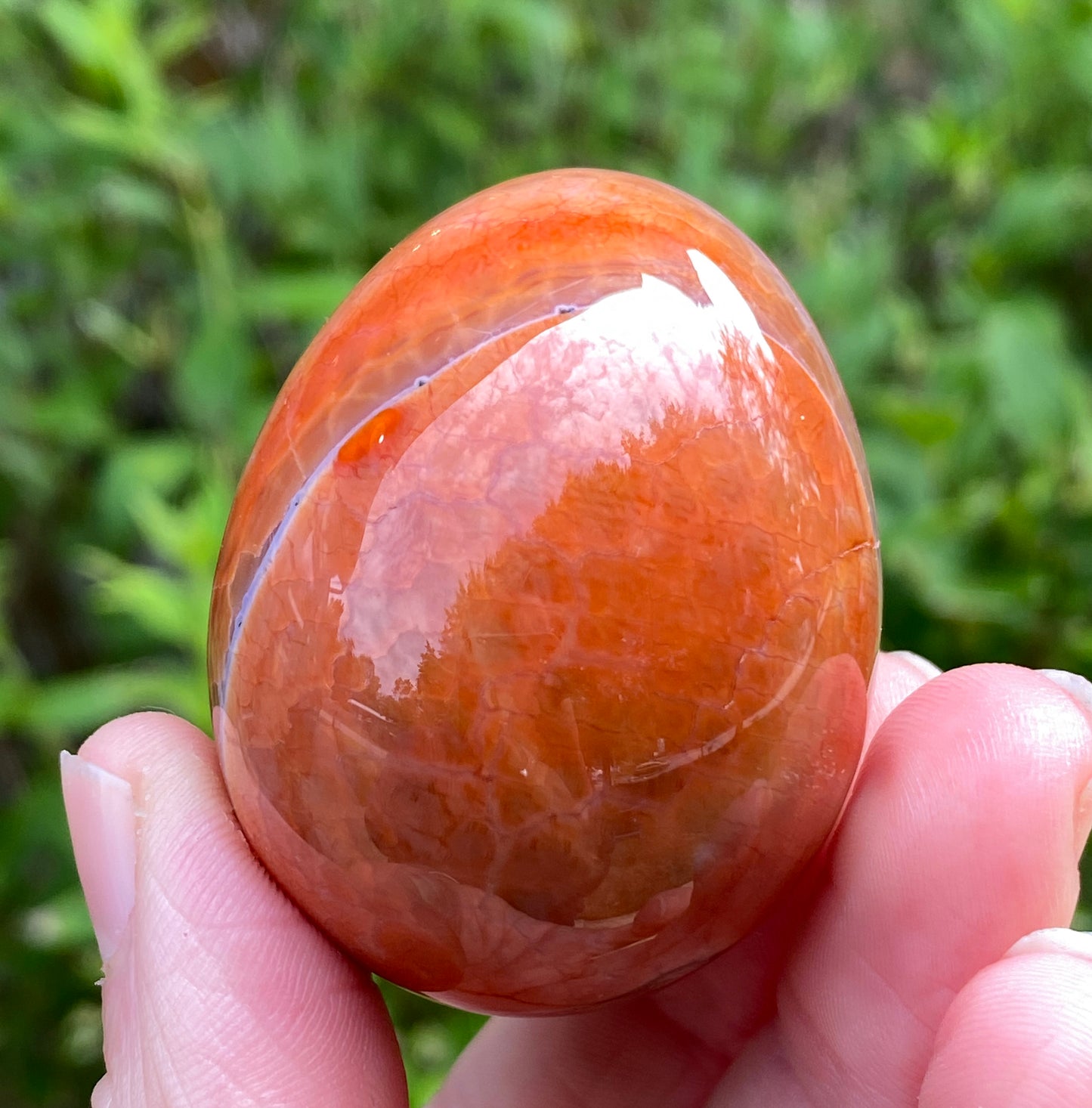 Snakeskin Agate Egg