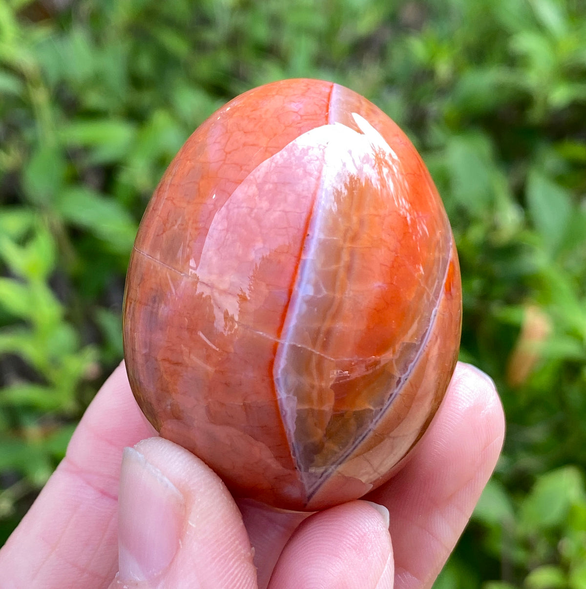 Snakeskin Agate Egg
