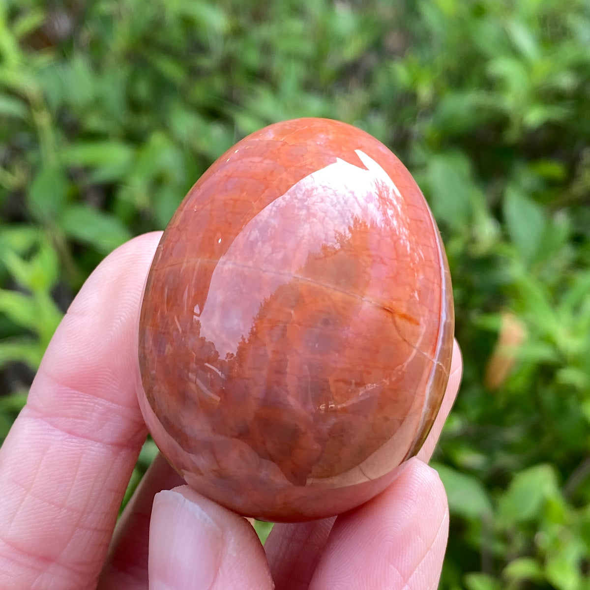 Snakeskin Agate Egg