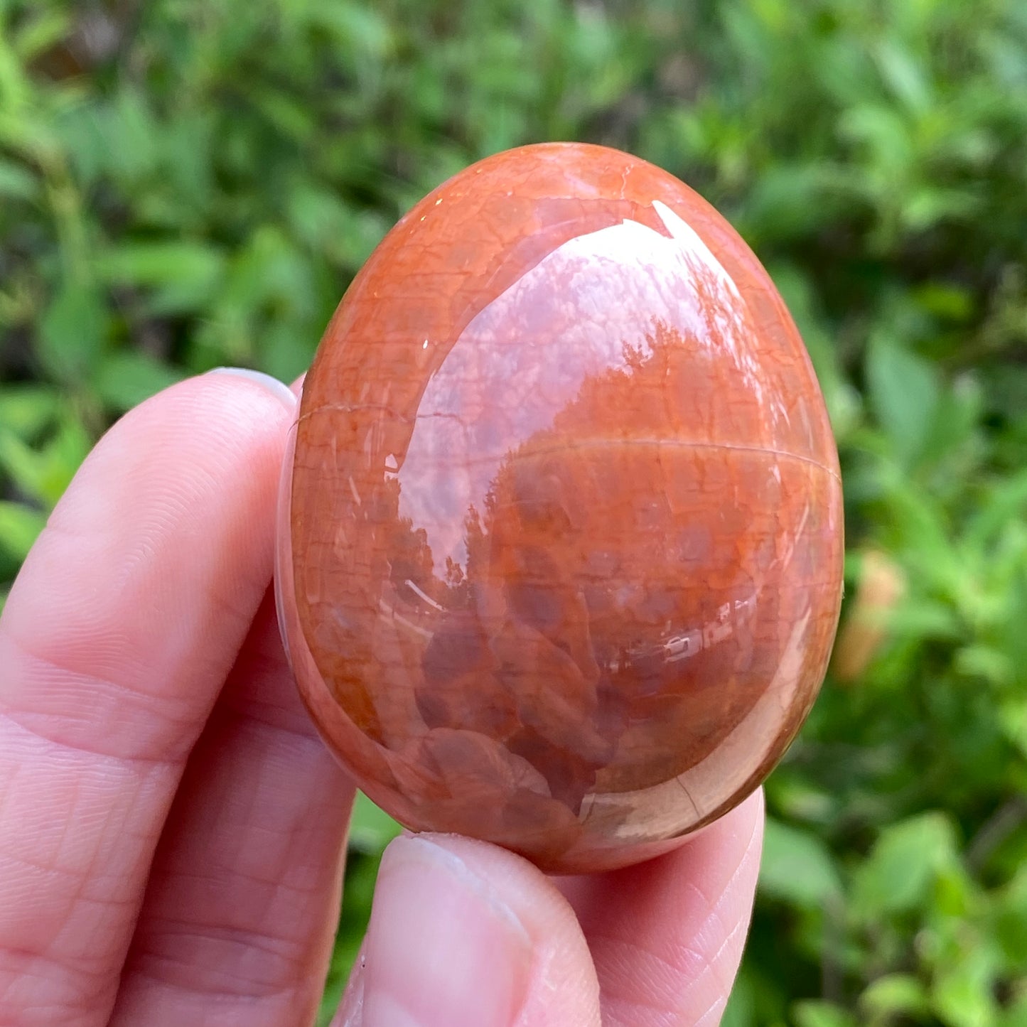 Snakeskin Agate Egg