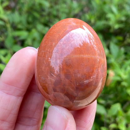 Snakeskin Agate Egg