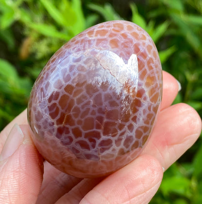 Snakeskin Agate Egg