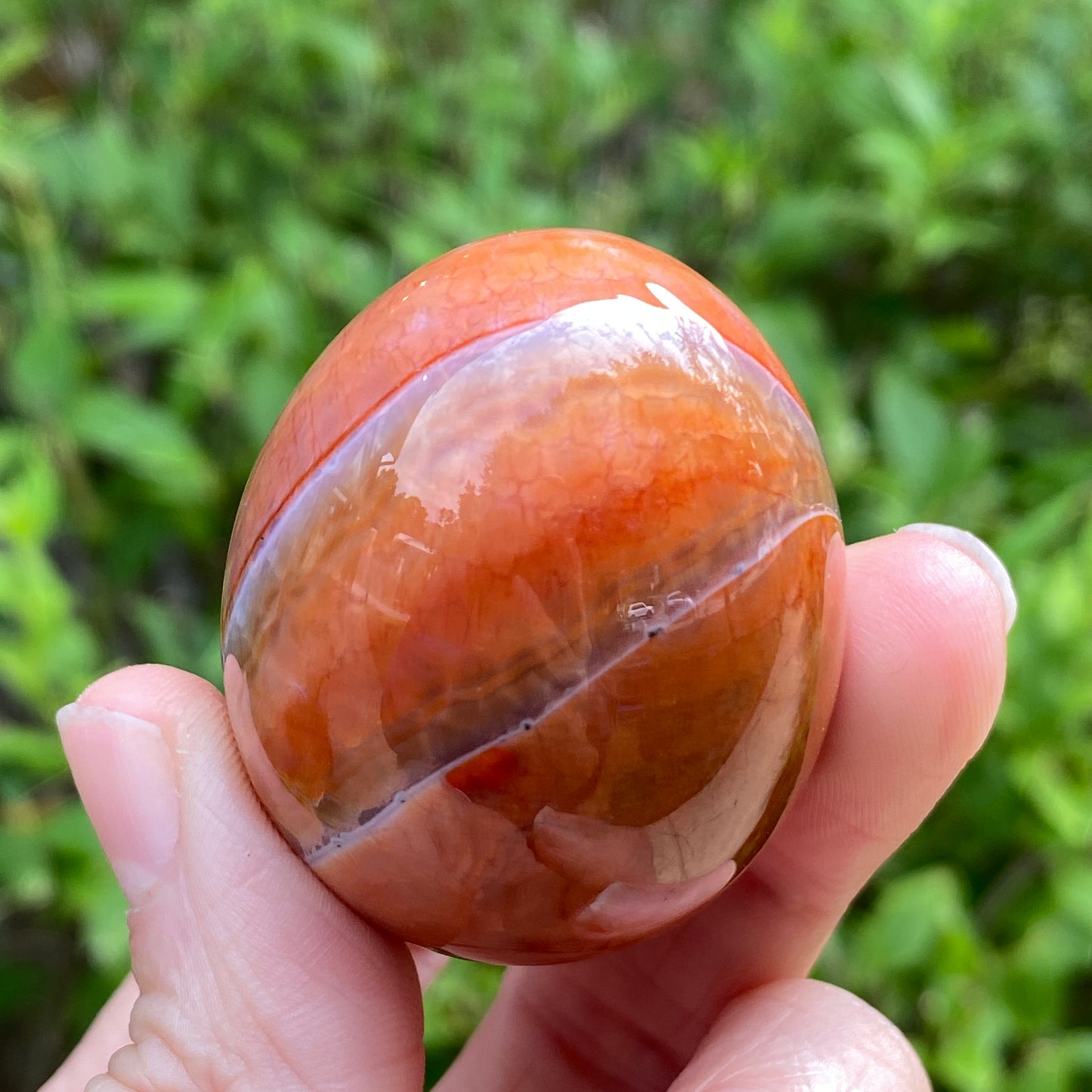 Snakeskin Agate Egg