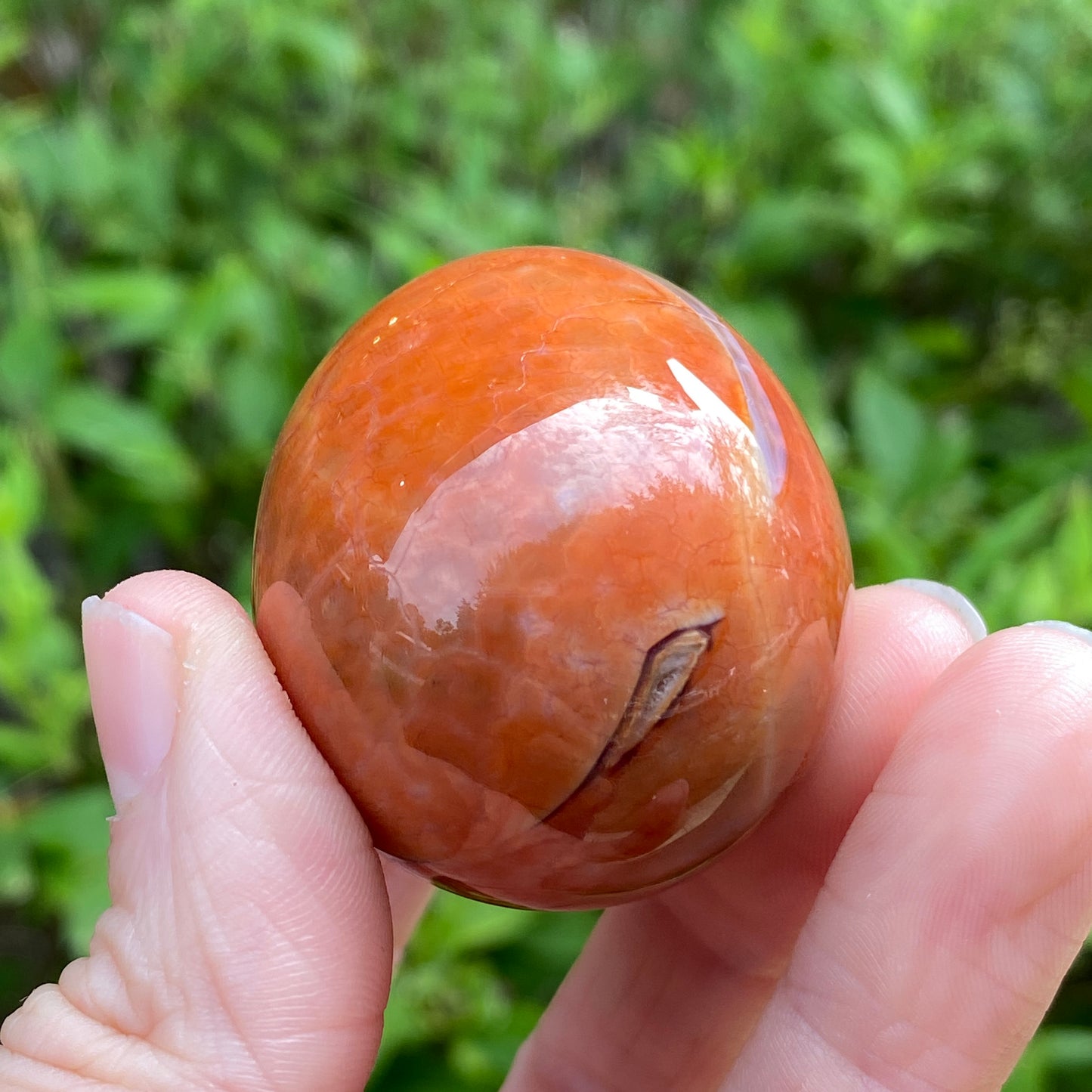 Snakeskin Agate Egg