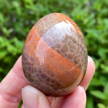 Snakeskin Agate Egg