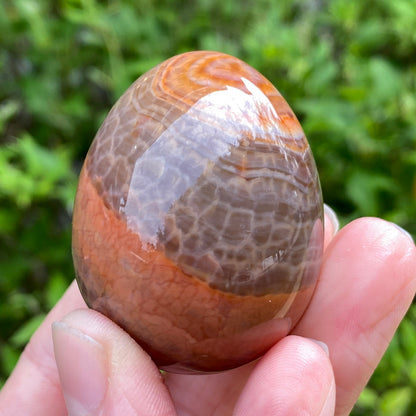 Snakeskin Agate Egg