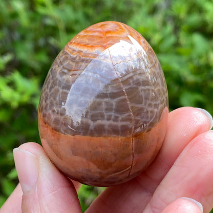Snakeskin Agate Egg