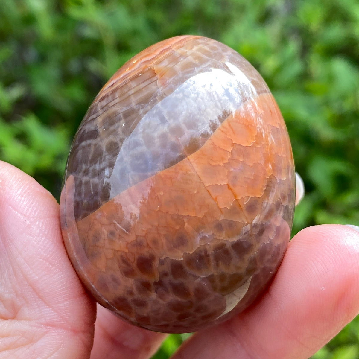Snakeskin Agate Egg